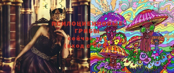 прущие крисы Алзамай